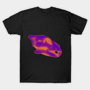 Lioness Neon Skull T-Shirt